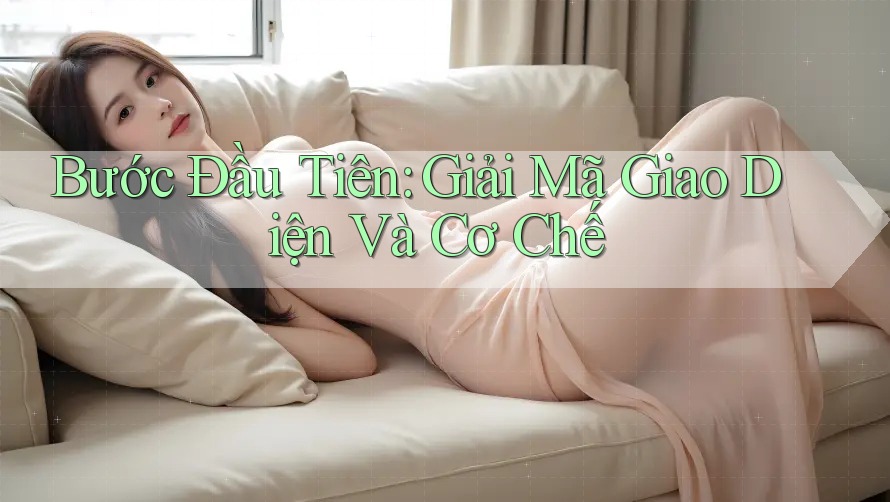 Bước Đầu Tiên: Giải Mã Giao Diện Và Cơ Chế
