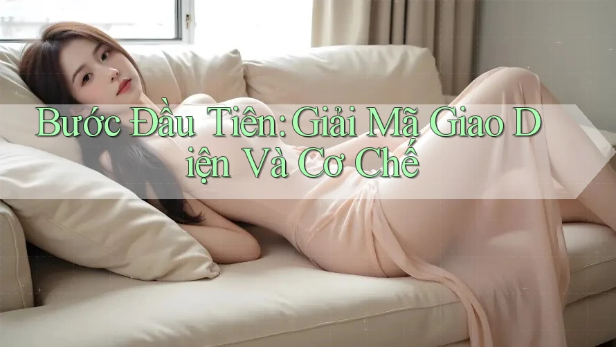 Bước Đầu Tiên: Giải Mã Giao Diện Và Cơ Chế