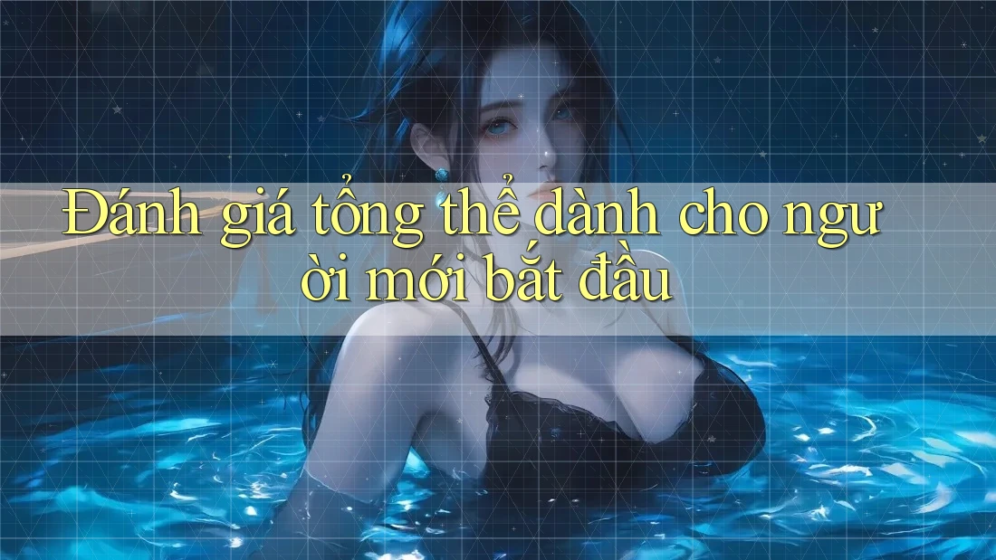 Đánh giá tổng thể dành cho người mới bắt đầu