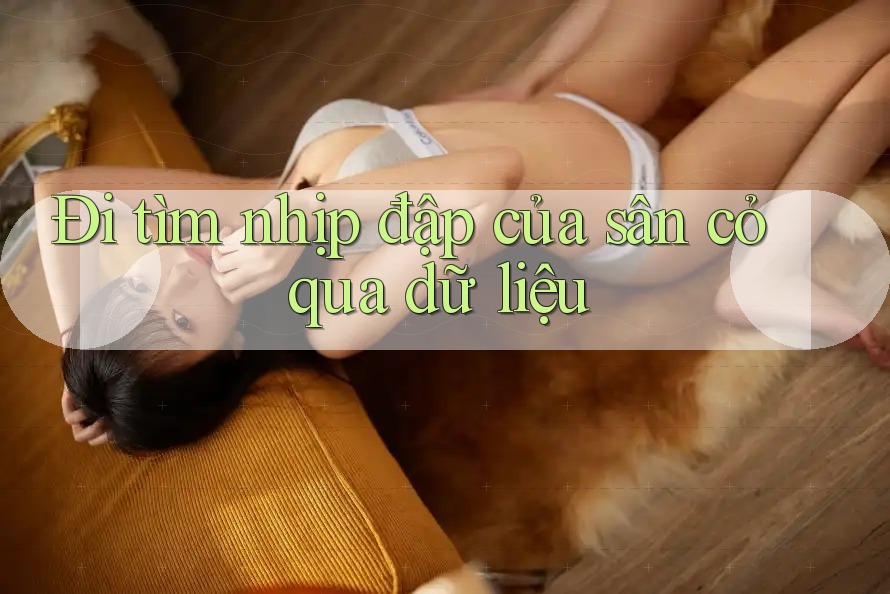 Đi tìm nhịp đập của sân cỏ qua dữ liệu
