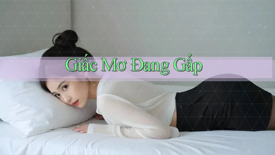 Giấc Mơ Đang Gấp