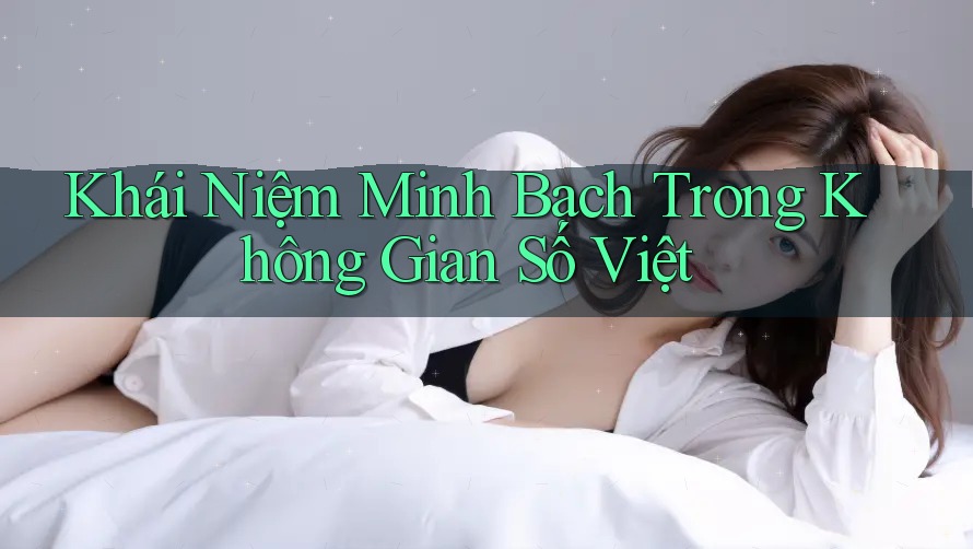 Khái Niệm Minh Bạch Trong Không Gian Số Việt Khái Niệm Minh Bạch Trong Không Gian Số Việt