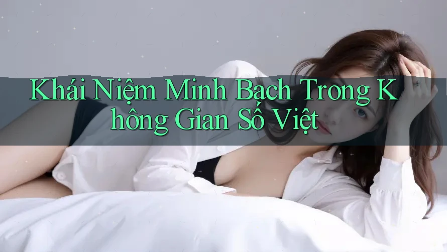 Khái Niệm Minh Bạch Trong Không Gian Số Việt Khái Niệm Minh Bạch Trong Không Gian Số Việt