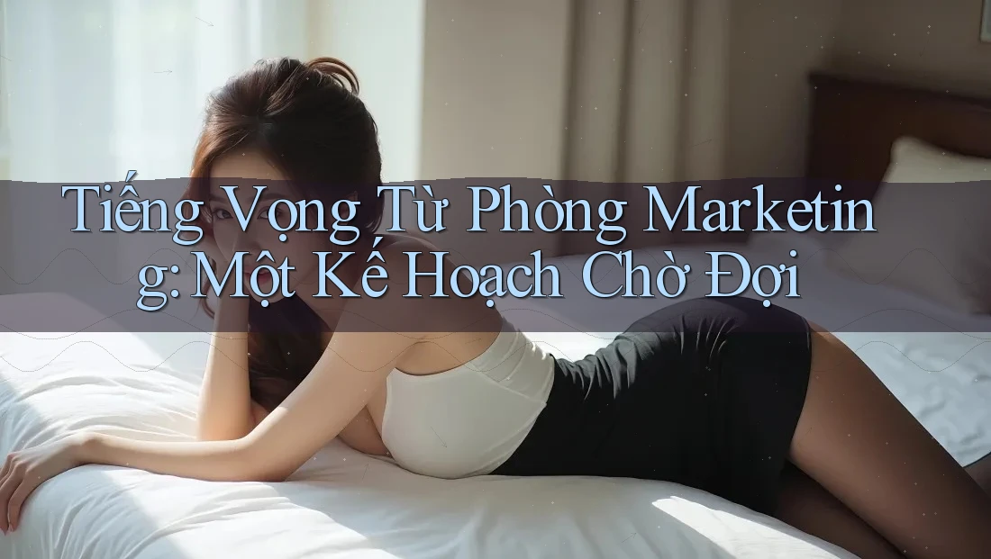 Tiếng Vọng Từ Phòng Marketing: Một Kế Hoạch Chờ Đợi